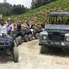 ATV Tea Estate Adventure