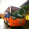 Guided Buggy Trail Shuttle