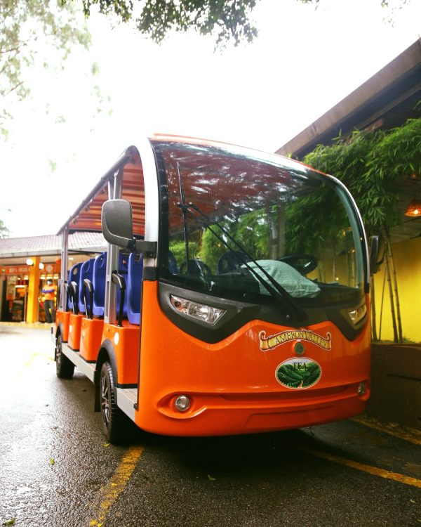 Guided Buggy Trail Shuttle