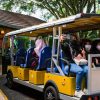 Guided Buggy Trail Shuttle