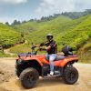 ATV Tea Estate Adventure