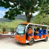 Guided Buggy Trail Shuttle