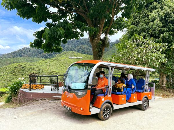 Guided Buggy Trail Shuttle
